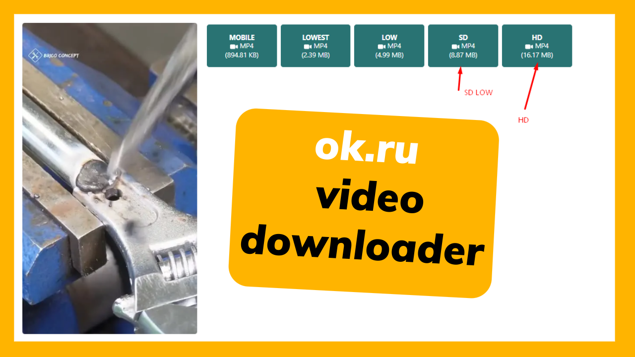 Ok.Ru Downloader – How to Download Video From Ok.Ru online