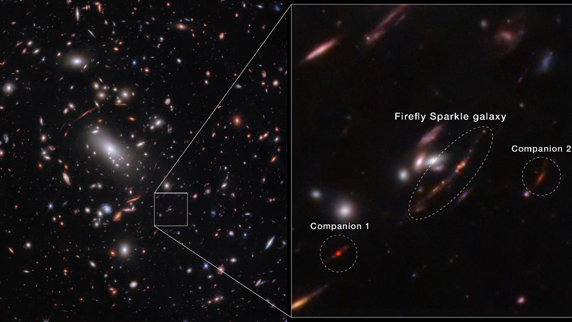 James Webb Space Telescope witnesses Firefly Sparkle galaxy ‘being assembled brick by brick’ (image, video)