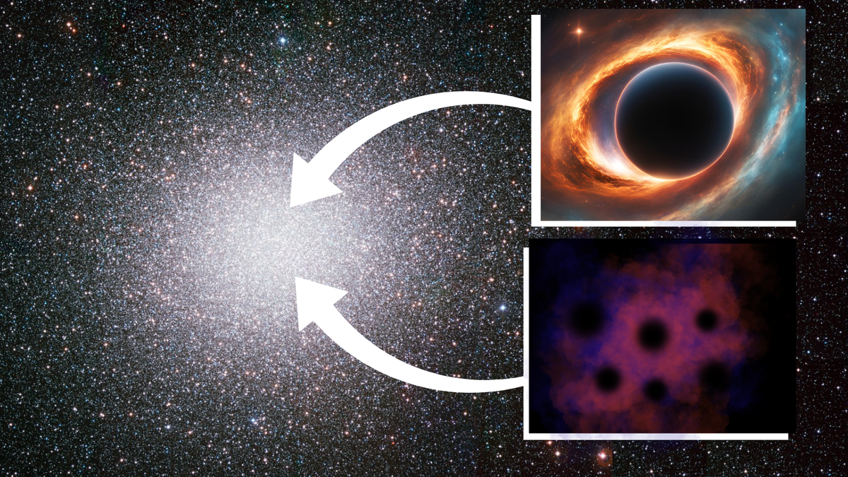 ‘Missing link’ black hole in the Milky Way’s densest star cluster is still missing