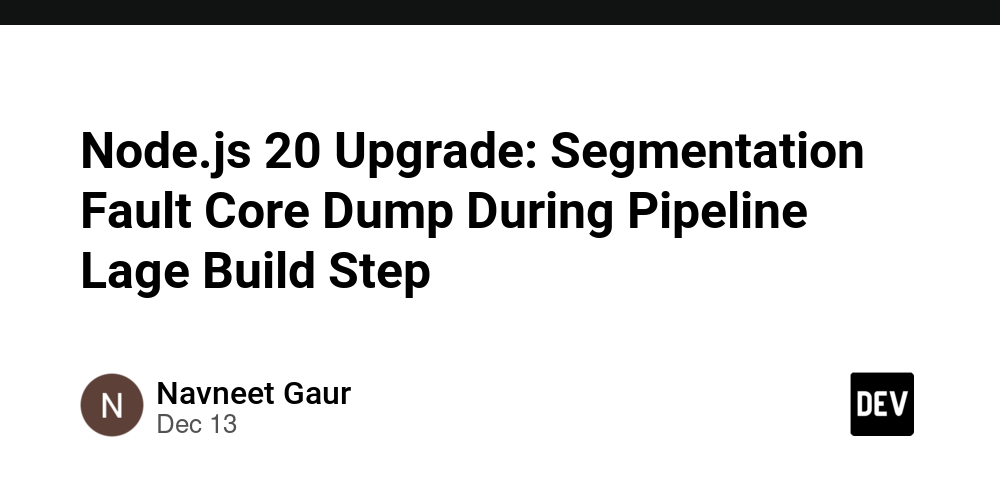 Node.js 20 Upgrade: Segmentation Fault Core Dump During Pipeline Lage Build Step