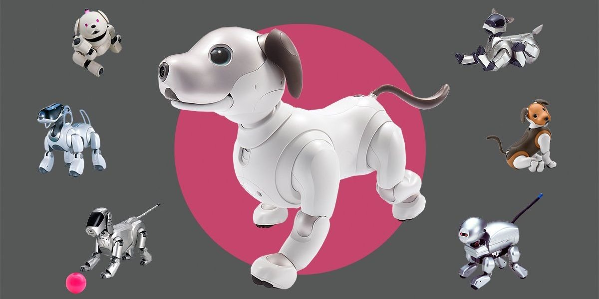 Zen and the Art of Aibo Engineering