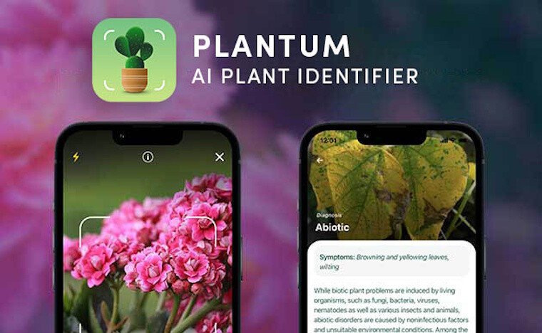 Save 75% on Plantum – AI Plant Identifier Premium Plan: Lifetime Subscription (iOS only)