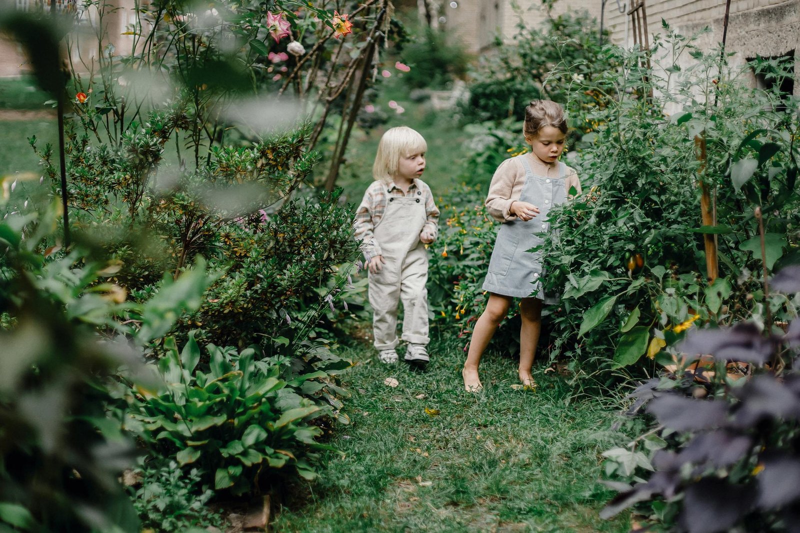 Simple Steps To Creating A Wildlife-Friendly Garden You Can Actually Use