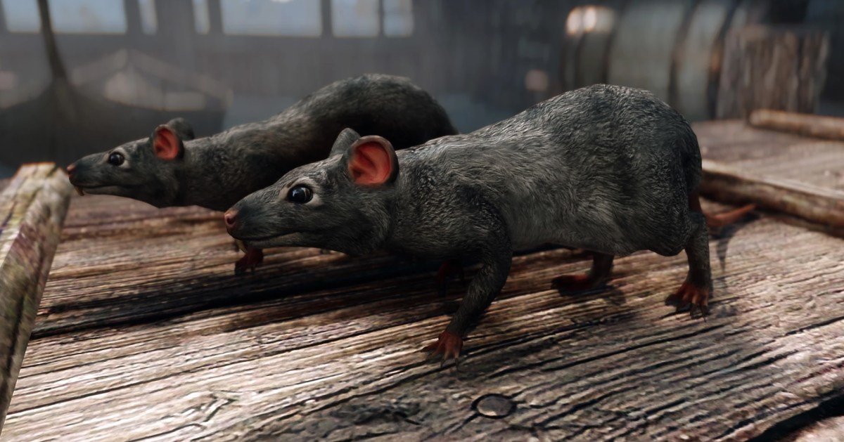 Skyrim is somehow even better with this rat mod