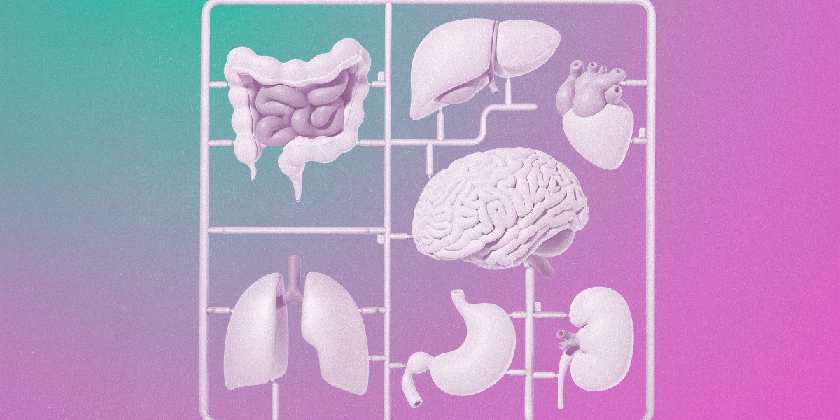 Stem-cell therapies that work: 10 Breakthrough Technologies 2025