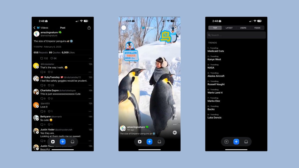 Bluesky Now Has Its Own Version of TikTok